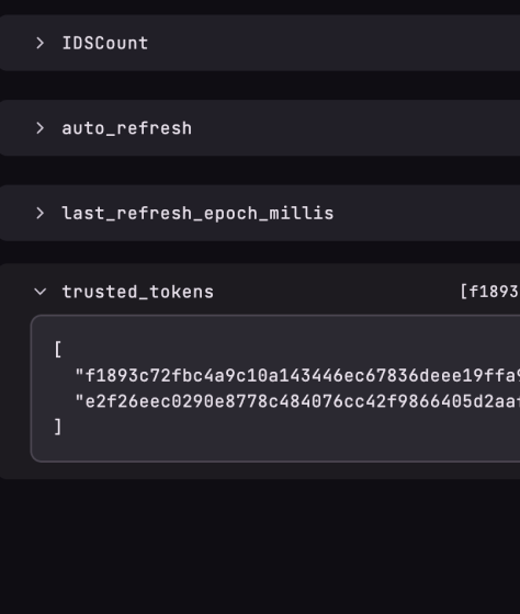 Cache inspector